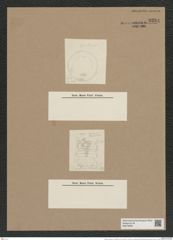 Melosira sulcata var. multiforica Grun. (de-Toni-Nr.: Genus 213, Species 5403) Zeichnungen Sammlung Grunow Nr. 9294 (NHMW-BOT-W0379094)